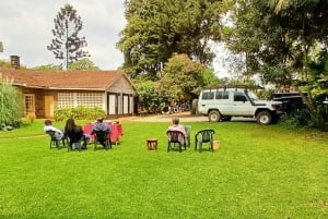 From Nairobi: Riara tea farm tour with lunch and tea tasting