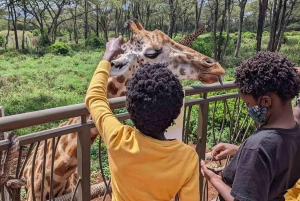 Nairobi Half Day Tour to David Sheldrick And Giraffe Center