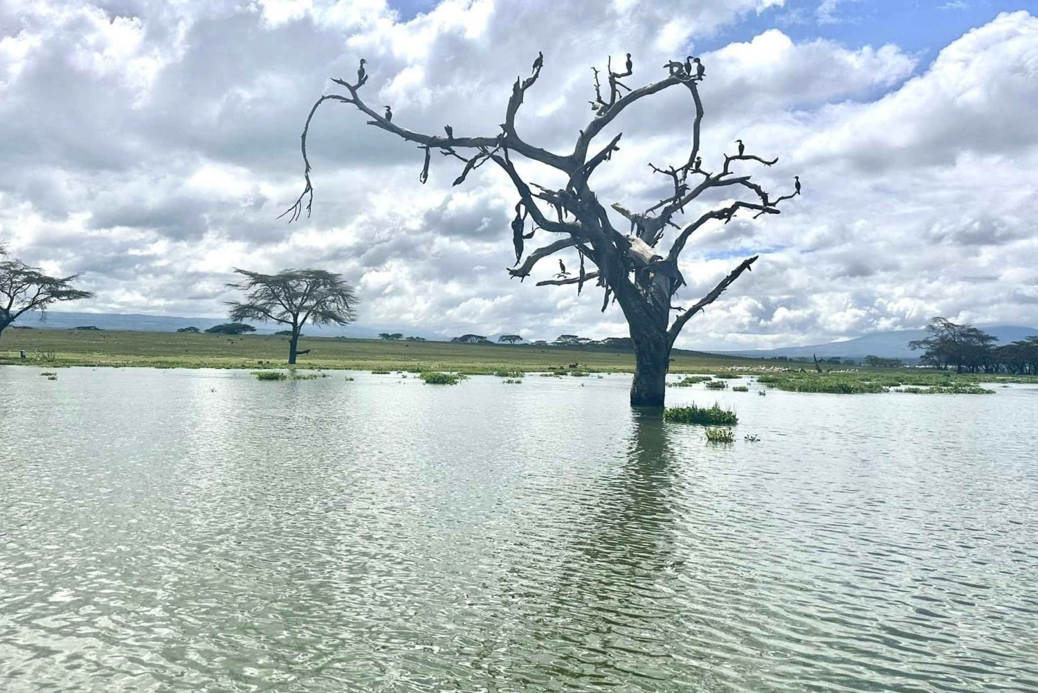 Nairobi: Hell’s Gate Park Cycling & Lake Naivasha Tour