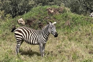 Nairobi: Hell’s Gate Park Cycling & Lake Naivasha Tour