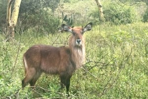 Nairobi: Hell’s Gate Park Cycling & Lake Naivasha Tour