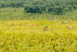 Nairobi: excursión de 1 día al parque Puerta del Infierno y el lago Naivasha