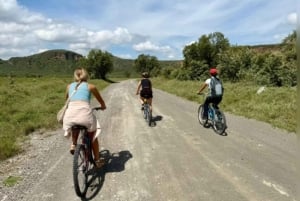 Nairobi: excursión de 1 día al parque Puerta del Infierno y el lago Naivasha