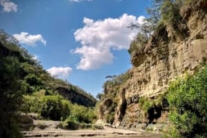 Nairobi: excursión de 1 día al parque Puerta del Infierno y el lago Naivasha