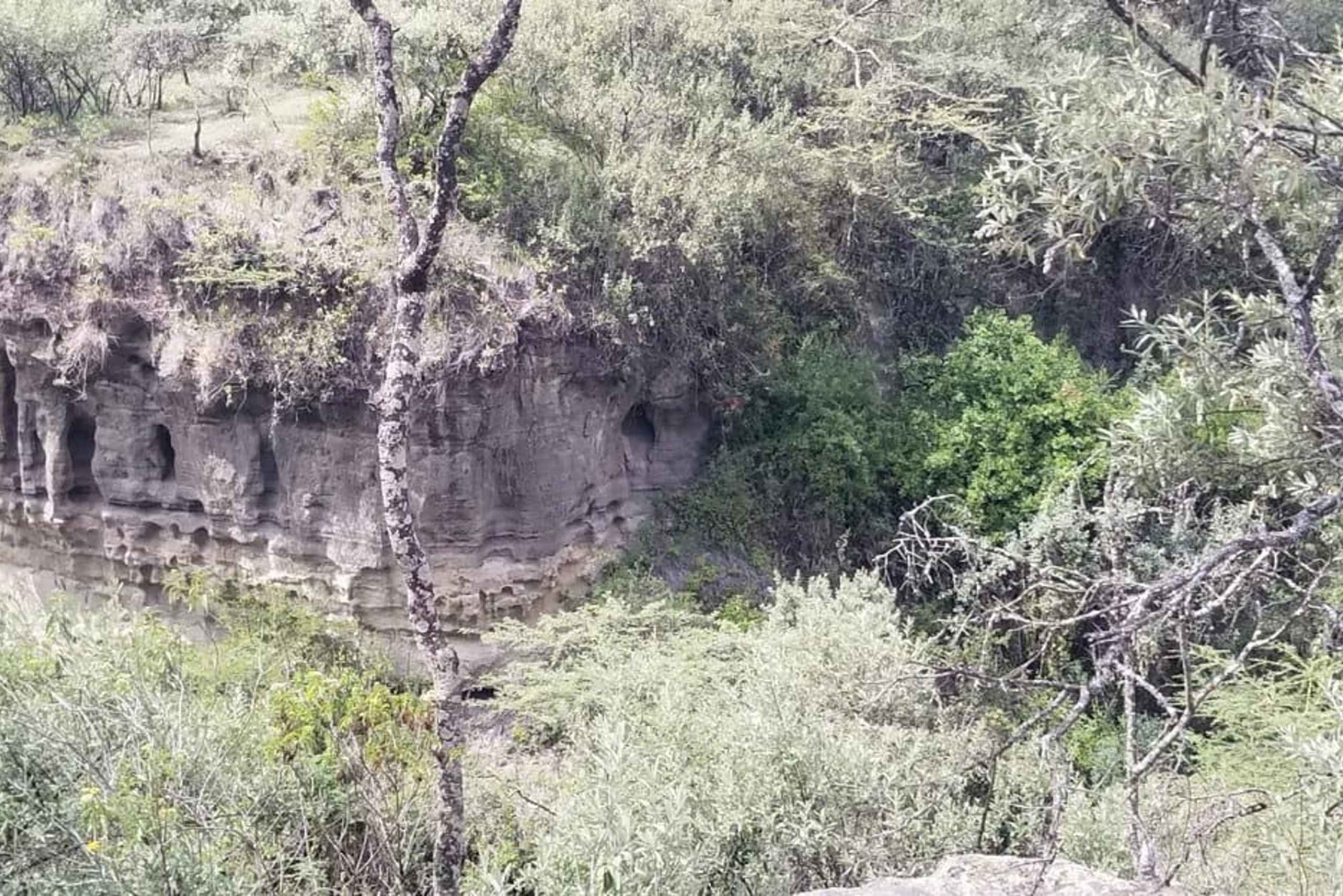 Nairobi: escursione di un giorno a Hell's Gate e Crescent Island con pranzo