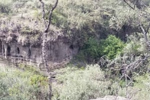 Nairobi: escursione di un giorno a Hell's Gate e Crescent Island con pranzo