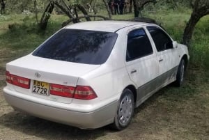 Nairobi: escursione di un giorno a Hell's Gate e Crescent Island con pranzo