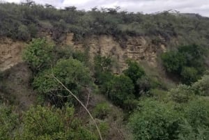 Nairobi: escursione di un giorno a Hell's Gate e Crescent Island con pranzo