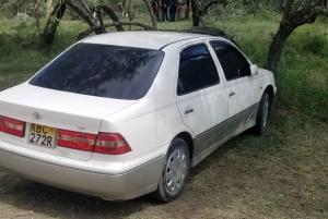 Nairobi: escursione di un giorno a Hell's Gate e Crescent Island con pranzo