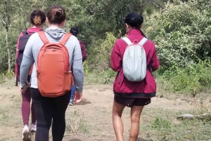 Nairobi: escursione di un giorno a Hell's Gate e Crescent Island con pranzo