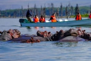Nairobi: Hell's Gate National Park and Lake Naivasha Tour