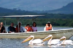 Nairobi: Hell's Gate National Park and Lake Naivasha Tour