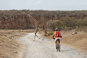 Nairobi: Hell's Gate National Park and Lake Naivasha Tour