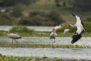 Nairobi: Hell's Gate National Park and Lake Naivasha Tour