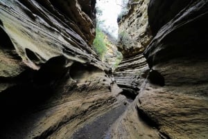 Nairobi: Hell's Gate National Park and Lake Naivasha Tour