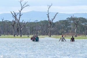 Nairobi: Hell's Gate National Park and Lake Naivasha Tour