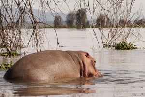 Nairobi: Hell's Gate National Park and Lake Naivasha Tour