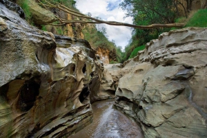 Nairobi: Hell's Gate National Park and Lake Naivasha Tour