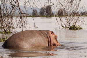 Nairobi: Hell's Gate National Park and Lake Naivasha Tour