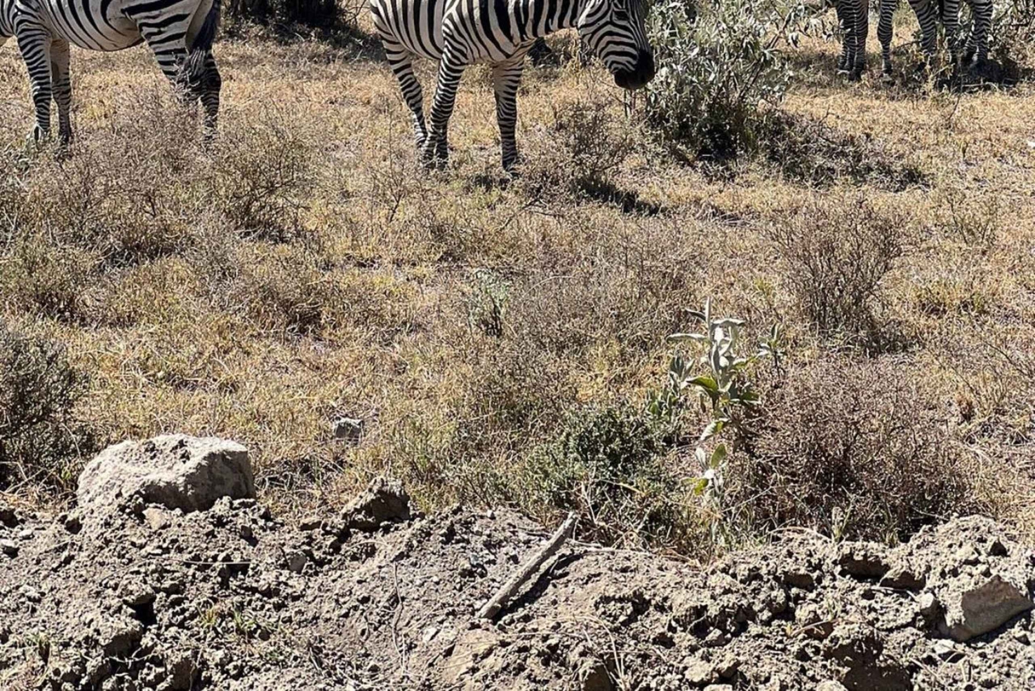 Nairobi: Viagem guiada de um dia ao Parque Nacional Hell's Gate