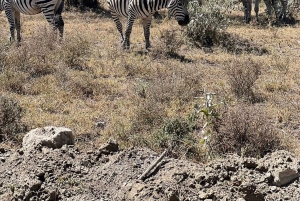 Nairobi: Viagem guiada de um dia ao Parque Nacional Hell's Gate