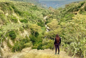 Nairobi: Viagem guiada de um dia ao Parque Nacional Hell's Gate