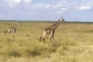 Nairobi : Visite du parc national de Hell's Gate avec guide