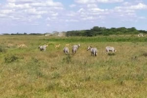 Nairobi : Visite du parc national de Hell's Gate avec guide