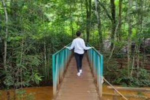 Nairobi: Hidden Waterfalls Hike & Forest Picnic in Karura