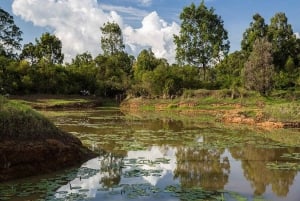 Nairobi: Hidden Waterfalls Hike & Forest Picnic in Karura