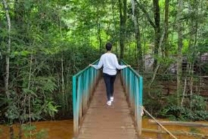 Nairobi: Wycieczka do ukrytych wodospadów i piknik w lesie Karura