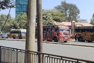 Nairobi Historical City Walking Tour With Local Guide