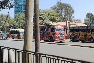 Nairobi Historical City Walking Tour With Local Guide