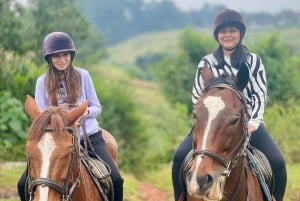 Nairobi: Horseback Riding Tour Through Maize Plantation