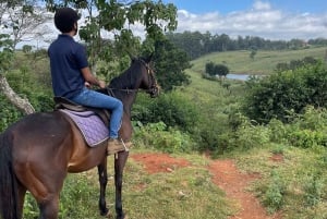 Nairobi: Horseback Riding Tour Through Maize Plantation
