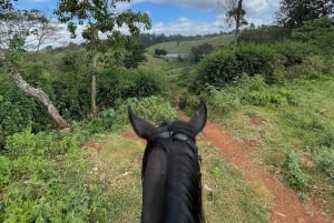 Nairobi: Horseback Riding Tour Through Maize Plantation