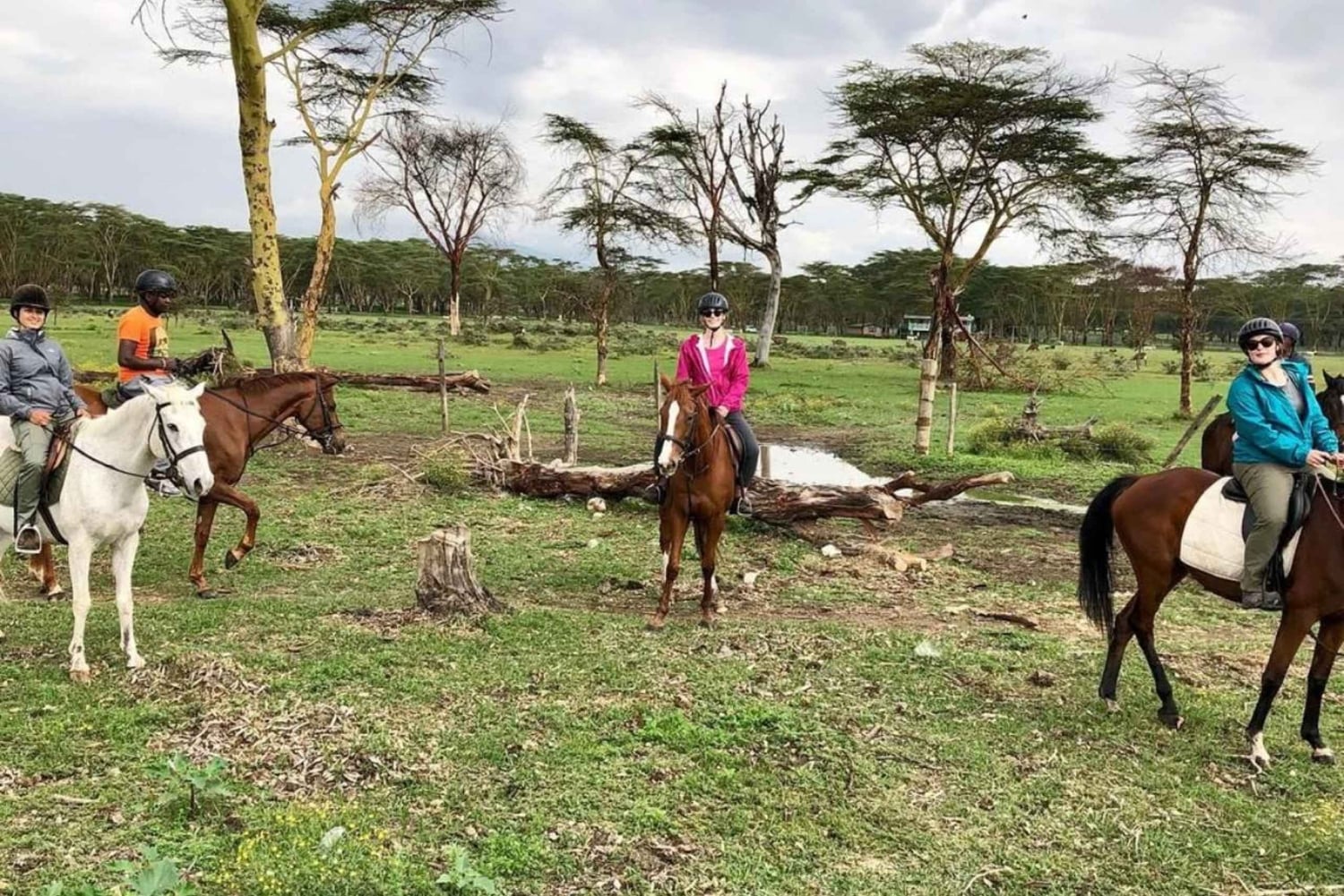 Nairobi: Hästsafari och åktur med båt på Naivashasjön