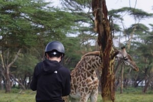 Nairobi: Hästsafari och åktur med båt på Naivashasjön