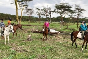 Nairobi: Hästsafari och åktur med båt på Naivashasjön