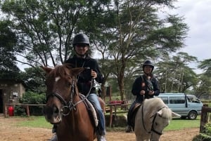 Nairobi: Hästsafari och åktur med båt på Naivashasjön