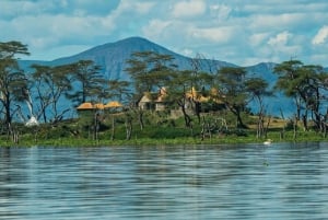 Nairobi: Hästsafari och åktur med båt på Naivashasjön