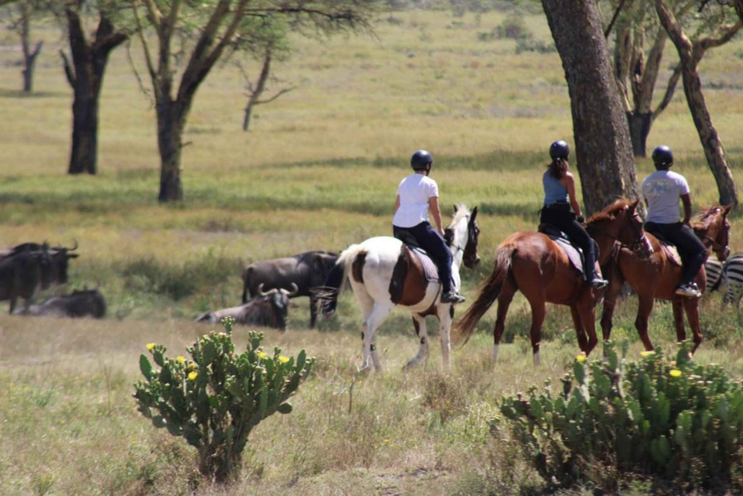 Nairobi: Horseback Wildlife Safari with Transfers and Lunch