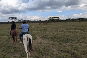 Nairobi: safari a caballo con traslado y almuerzo