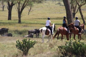 Nairobi: Horseback Wildlife Safari with Transfers and Lunch