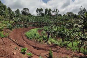 Nairobi: Kangemi Mlango Organic Farm Guided Tour