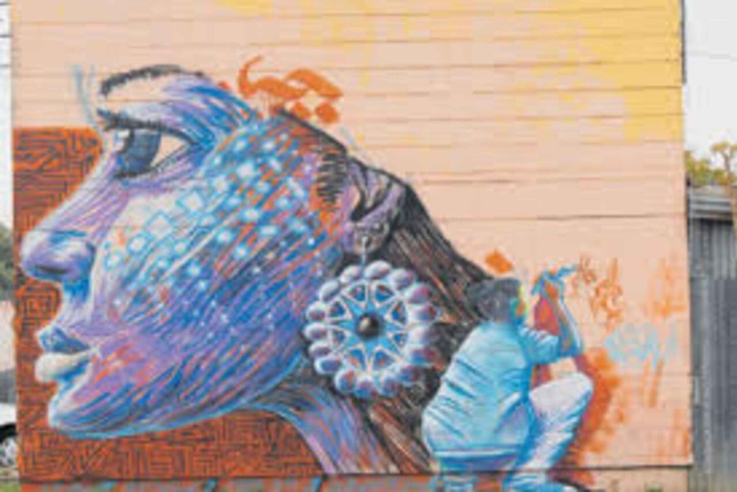 Nairobi: Gatukonsttur i Kangemi med upphämtning på hotellet