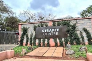 Nairobi: Karen Blixen, Elefant Orphanage & Girraffe Centre.
