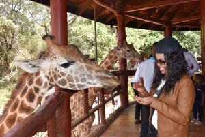 Nairobi: Karen Blixen, Elephant Orphanage and Giraffe Center