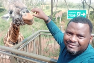 Nairobi: Karen Blixen, Olifantenweeshuis en Giraffencentrum