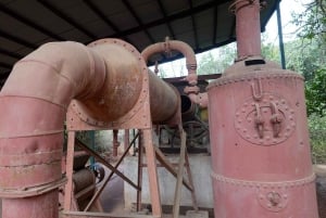 Nairobi: Guidad tur på Karen Blixen-museet med hämtning